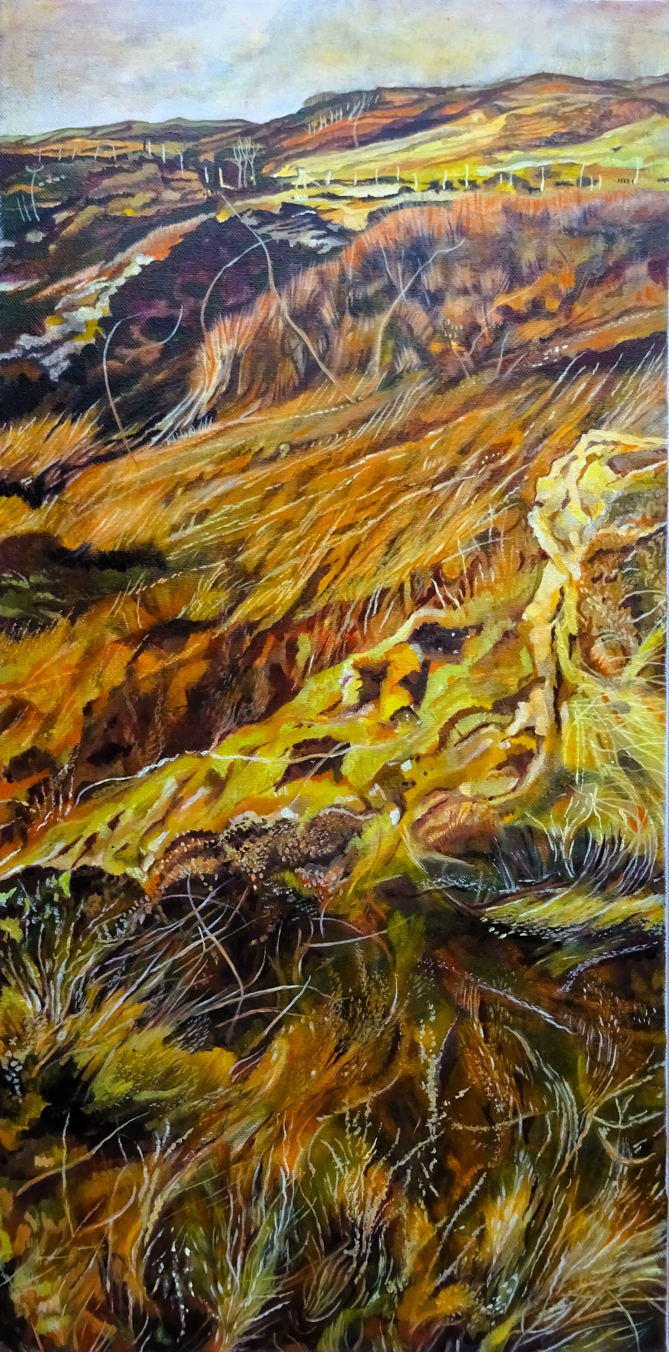 Dorothy Taylor - Full Tilt Under a Dirty Sky