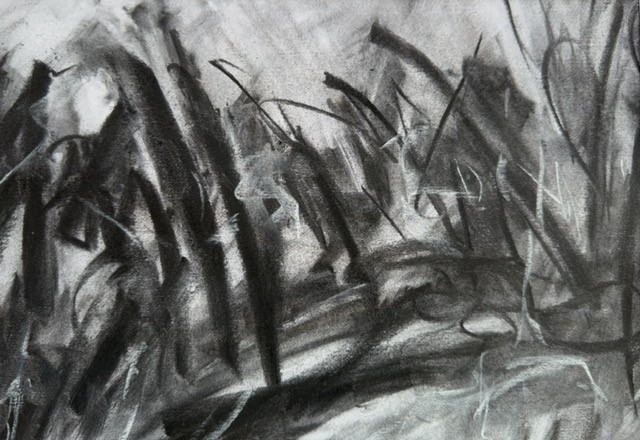 Cheryl Crichton-Edwards